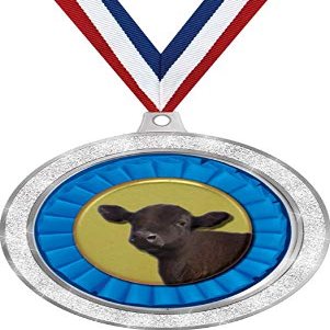 Angus Steer Medal, 2 1/2" Silver Glitter Angus Cattle Medals, Great Animal Awards 50 Pack