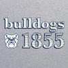 AH1177 - Butler Bulldogs Throwback Year Stripe Hoodie - Large - Sport Grey view 2