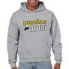 AH1177 - Purdue Boilermakers Throwback Year Stripe Hoodie - 3X-Large - Sport Grey view 4