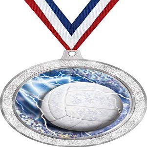Volleyball Medal, 2 1/2" Silver Glitter Volleyball Net Medals, Great Volleyball Awards 100 Pack