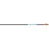 Bowhunters Supply Store Easton Arrow HYPERSPEED PRO (.001) 400 (7.4 gpi) (6) view 1