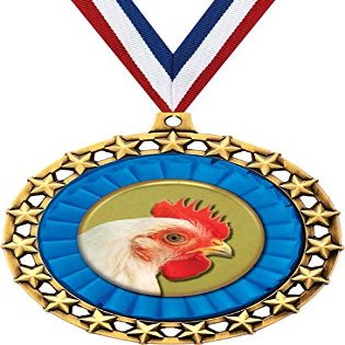 Chicken Medal, 2 1/2" Galaxy Star Chicken Medals, Great Chicken Awards 50 Pack Prime
