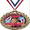 Arm Wrestling Medals - 2 1/2" Laurel Wreath Wrestling Medal - Great Arm Wrestler Awards for Kids 50 Pack Prime view 1