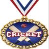 Cricket Medal, 2 1/2" Galaxy Star Cricket Medals, Great Cricket Awards 10 Pack Prime view 1