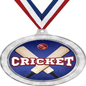 Cricket Medal, 2 1/2" Silver Glitter Cricket Medals, Great Cricket Awards 50 Pack Prime