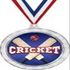 Cricket Medal, 2 1/2" Silver Glitter Cricket Medals, Great Cricket Awards 50 Pack Prime view 1