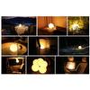 MOGICS Coconut Light (Standard) view 3