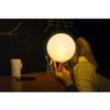 MOGICS Coconut Light (Standard) view 4