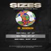 American Challenge Carnaval 18 Panel Soccer Ball (Confetti, 5) view 2