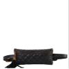 Designer Quilted Belt Fanny Bag view 2