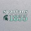 AH1177 - Michigan State Spartans Throwback Year Stripe Hoodie - X-Large - Sport Grey view 2