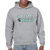 AH1177 - Michigan State Spartans Throwback Year Stripe Hoodie - X-Large - Sport Grey view 4