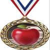 Apple Medals - 2 1/2" Laurel Wreath Teachers Apple Medal - Great Education Awards for Kids 50 Pack Prime view 1