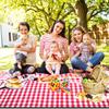 RealPero Extra Large Picnic Blanket Waterproof Camping Mat Rug with PU Carrier Soft Lightweight Portable Outdoor Mat for Travel Lawn Camping on Grass Sand-Proof Beach Red White Plaid view 2