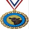 Angus Steer Medal, 2 1/2" Galaxy Star Angus Cattle Medals, Great Animal Awards 10 Pack Prime view 1