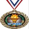 3rd Place Medals - 2 1/2" Laurel Wreath Third Place Medal - Great Third Place Awards for Kids 50 Pack Prime view 1