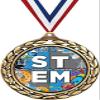 STEM Medals - 2 1/2" Laurel Wreath Science Education Academic Medal - Great Student Awards for Kids 100 Pack Prime view 1