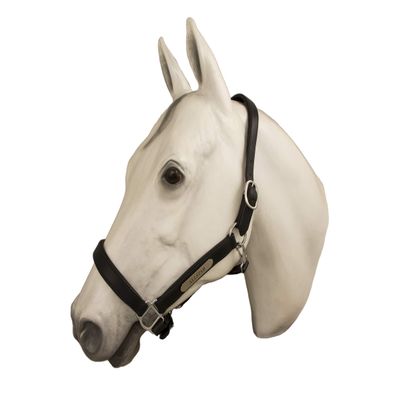 Horse Fare Products Black Comfy Fancy Stitch Padded Leather Halter with Chrome Hardware & Customized Nameplate- Made in The USA (Oversize)
