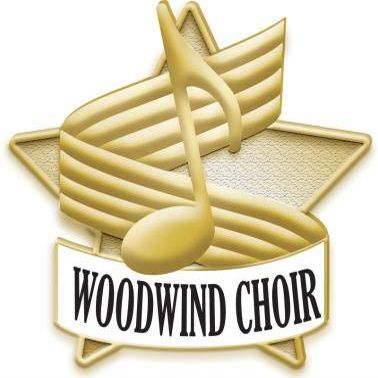 1"x 1" Woodwind Choir Pin, Enamel Music Pins Wonderful Woodwind Choir Pin for Musicians Gold 100 Pack Prime