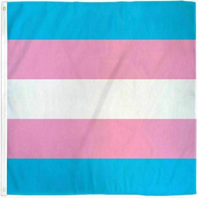 MWS 4x6 Transgender Pride Flag with Grommets LGBTQIA Trans Pride Large