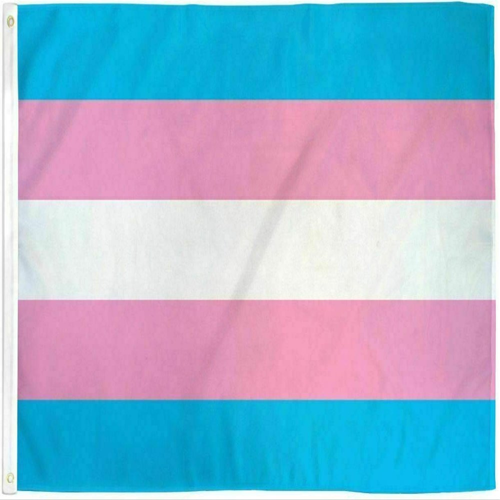 MWS 4x6 Transgender Pride Flag with Grommets LGBTQIA Trans Pride Large