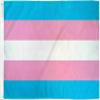 MWS 4x6 Transgender Pride Flag with Grommets LGBTQIA Trans Pride Large view 1