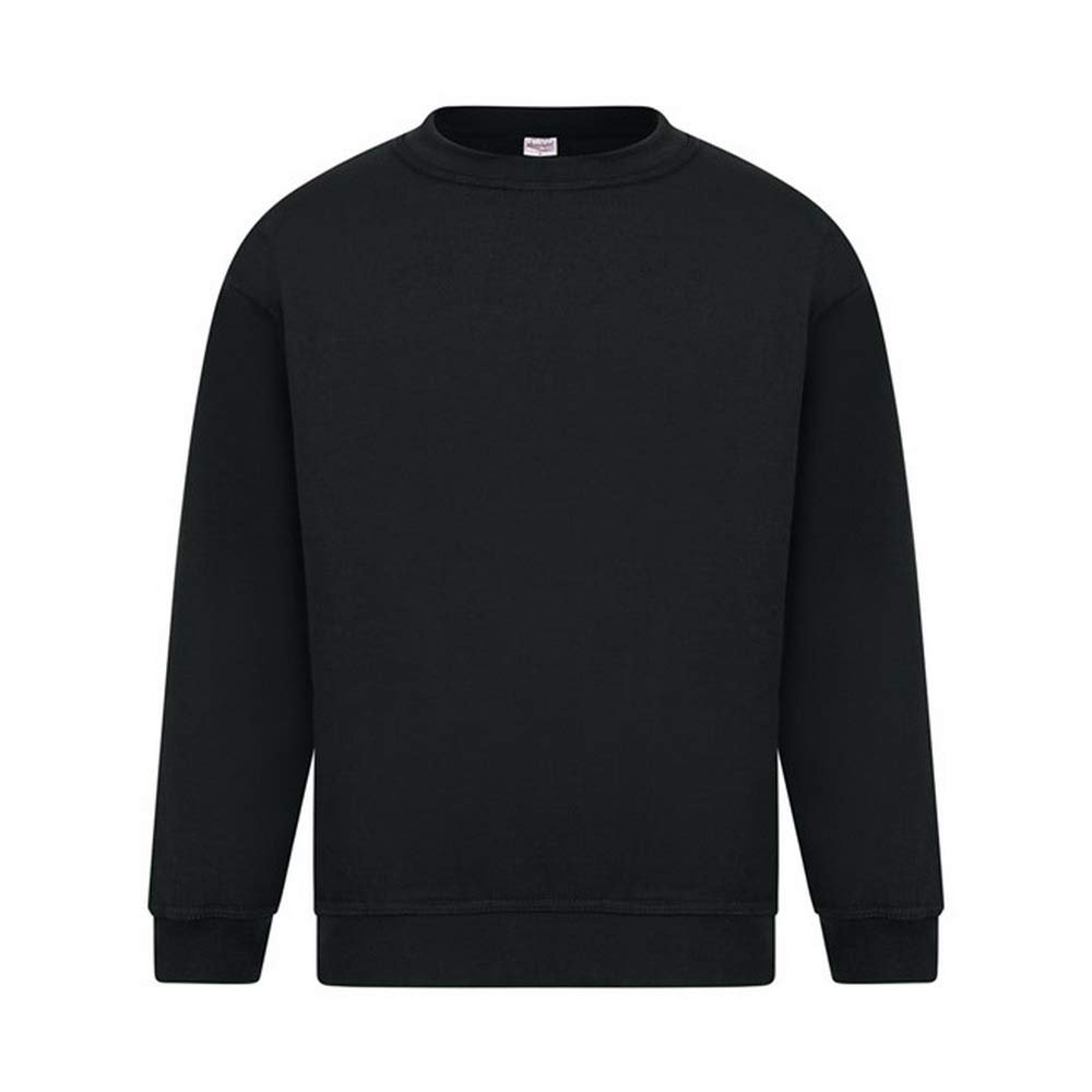 Absolute Apparel Mens Sterling Sweat (6XL) (Black)