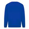 Absolute Apparel Mens Sterling Sweat (5XL) (Black) view 2