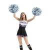 Hooshing 2PCS Silver Pom Poms Cheerleading with Baton Handle for Team Spirit School Sports Dance Cheering view 3