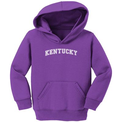 Haase Unlimited Kentucky - State Proud Strong Pride Toddler/Youth Fleece Hoodie (Purple, 5T/6T (Toddler))