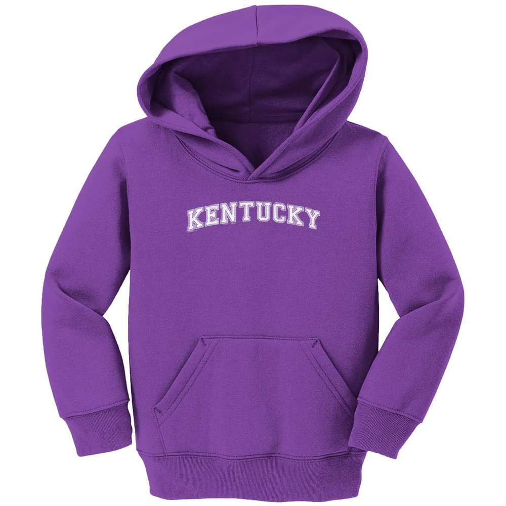 Haase Unlimited Kentucky - State Proud Strong Pride Toddler/Youth Fleece Hoodie (Purple, 5T/6T (Toddler))
