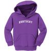 Haase Unlimited Kentucky - State Proud Strong Pride Toddler/Youth Fleece Hoodie (Purple, 5T/6T (Toddler)) view 1