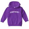 Haase Unlimited Kentucky - State Proud Strong Pride Toddler/Youth Fleece Hoodie (Purple, 5T/6T (Toddler)) view 2