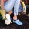 Sloggers Original Waterproof Rain and Garden Shoe for Women Outdoor Slip-On Garden Clog - Made in The USA with Premium Comfort Insole and Arch Support - Lt Blue Bee Print, Size 9 view 2