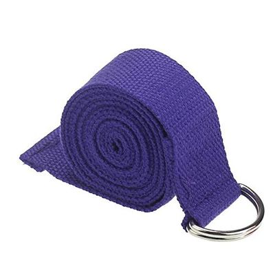 Anixl Yoga Stretch Strap D-Ring Belt Waist Leg Exercise Resistance Fitness Bands