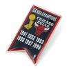 aminco unisex adult NFL NBA Chicago Bulls Championship Banner Pin, Team Color, NBA-PN-1064-10 US view 1
