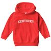 Haase Unlimited Kentucky - State Proud Strong Pride Toddler/Youth Fleece Hoodie (Red, 5T/6T (Toddler)) view 1