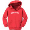 Haase Unlimited Kentucky - State Proud Strong Pride Toddler/Youth Fleece Hoodie (Red, 5T/6T (Toddler)) view 2