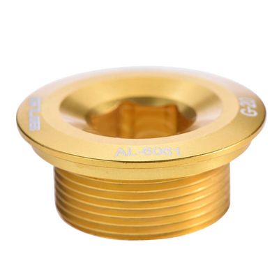 Bnineteenteam Aluminum Alloy Cranket Crank Fixing Bolt Screw(Gold) and Spare Parts