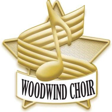 1"x 1" Woodwind Choir Pin, Enamel Music Pins Wonderful Woodwind Choir Pin for Musicians Gold 50 Pack Prime