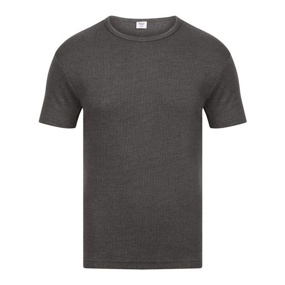 Absolute Apparel Mens Thermal Short Sleeve T-Shirt (XL) (Charcoal)
