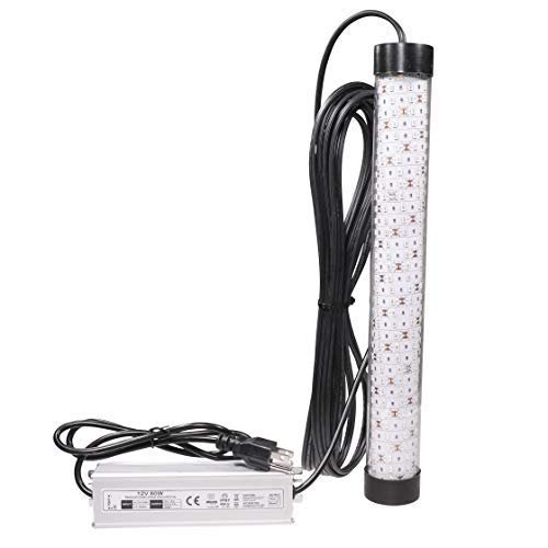 Bright Night Fishing 50 ft Cord Underwater Fishing Light,15,000 Lumen, Waterproof AC,300 Green LED Weighted Submersible Dock Boat Light, Fish Attractor