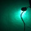 Bright Night Fishing 50 ft Cord Underwater Fishing Light,15,000 Lumen, Waterproof AC,300 Green LED Weighted Submersible Dock Boat Light, Fish Attractor view 3