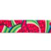 Country Brook Design - Summer Melon Polyester Webbing (1 1/2 Inch, 10 Yards) view 2