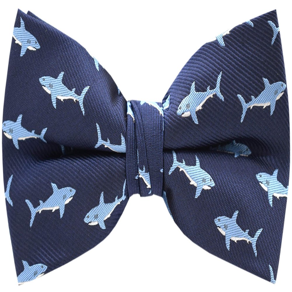 Carahere Mens Bow Tie Handmade Pre-Tied Fun Pattern Bow Ties for Men Light Blue