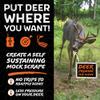 HODAG Licking Stick Mock Scrape Kit for Hunting  Food Plot Attractant & Lure for Whitetail Hunters  Includes 8 oz AllSeason Scent for Deer  Alternative to Bait, Feeders, & Mineral Blocks (Orange) view 4