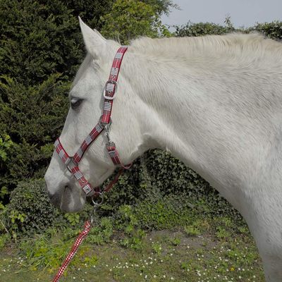 Rhinegold Unisex's Carnival Headcollar & Rope, Red Check, Full
