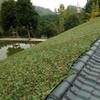 LIYFF-Tarps Camouflage Netting - Woodland Sunshading Net Camping Military Hunting Shooting Sunscreen Nets Outdoor Jungle UV Resistant Camo Netting view 3