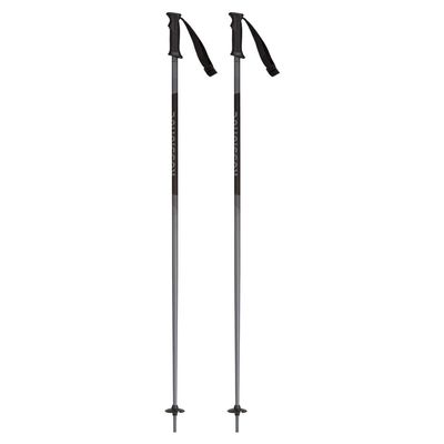 Rossignol Tactic Grey/Black Ski Poles, Men, Mens, RDI2010, Gray/Black, 5 Years