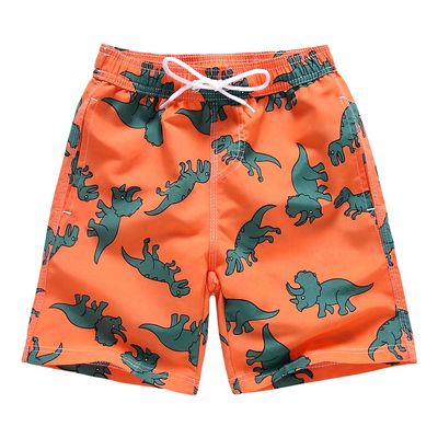techcity Boys Swim Trunks, Quick Dry Beach Swim Shorts Little Boys Bathing Suit Swimsuit Toddler Boy Swimwear with Mesh Lining, 3-14 Years (9-10 Years, Dinosaur)